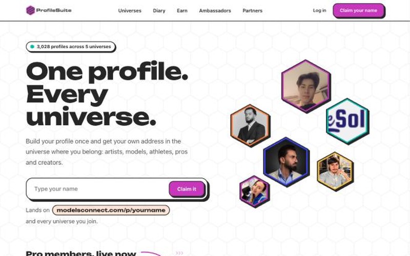 profilesuite.com homepage